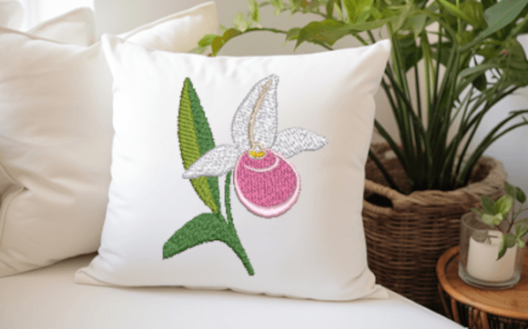 Lady Slipper Minnesota Orchid
